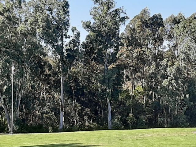 Photo of California International Business University