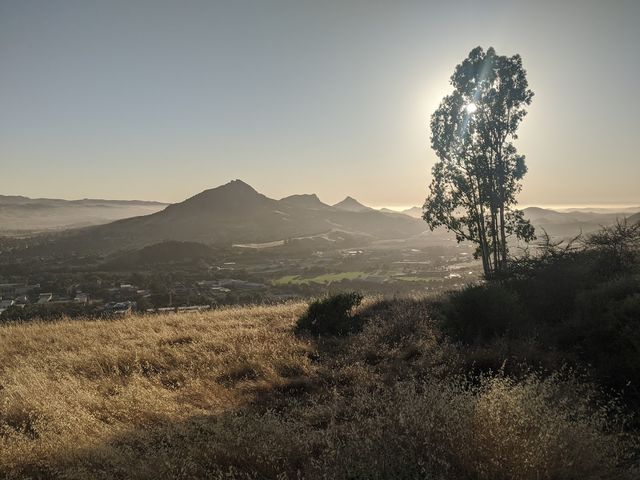 Photo of California Polytechnic State University-San Luis Obispo