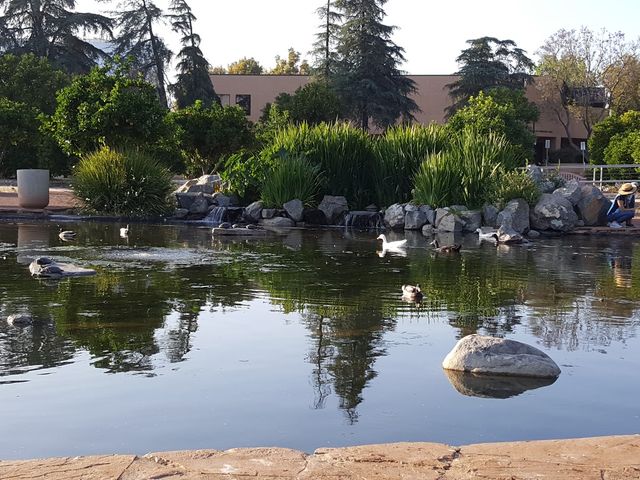 Photo of California State University-Northridge