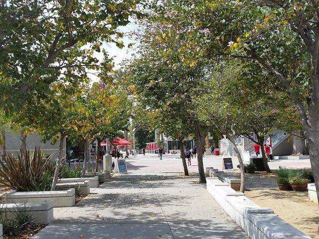 Photo of California State University-Northridge