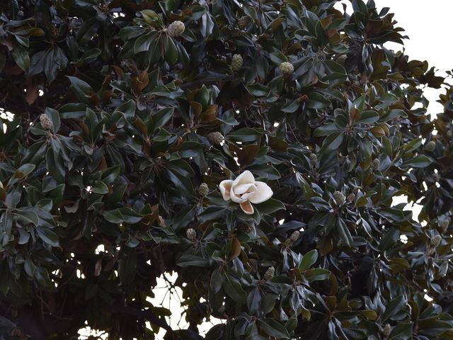 Photo of California State University-Bakersfield