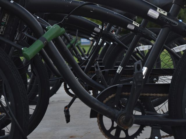 Photo of California State University-Bakersfield