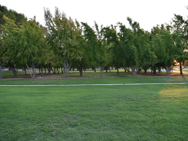 Photo of California State University-Bakersfield