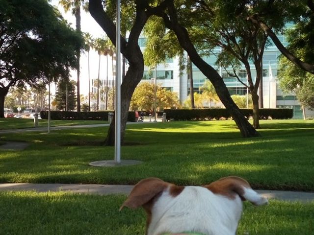 Photo of California State University-Chancellors Office