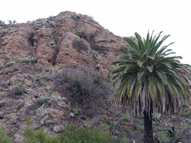 Photo of California State University-Channel Islands