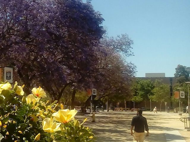 Photo of California State University-Fullerton
