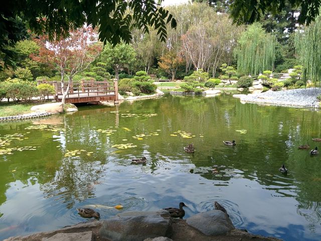 Photo of California State University-Long Beach