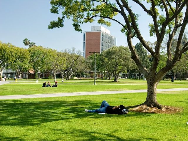 Photo of California State University-Long Beach