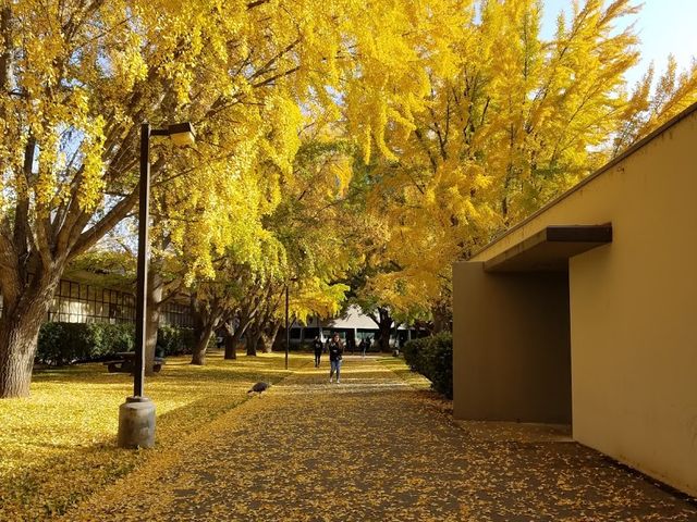 Photo of California State University-Sacramento