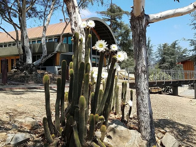Photo of California State University-San Marcos
