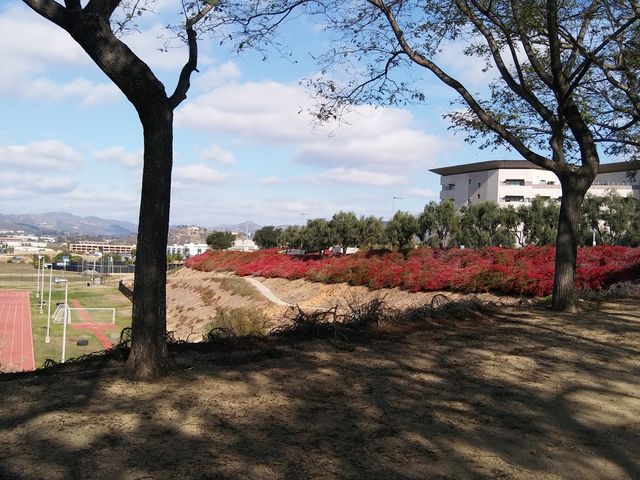 Photo of California State University-San Marcos