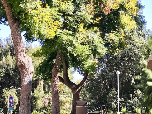 Photo of California State Polytechnic University-Pomona