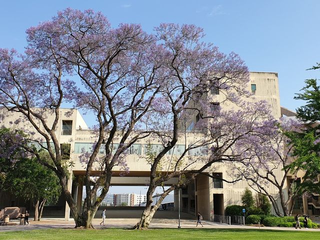 Photo of California State Polytechnic University-Pomona
