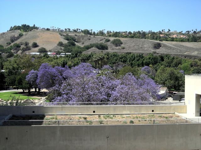 Photo of California State Polytechnic University-Pomona