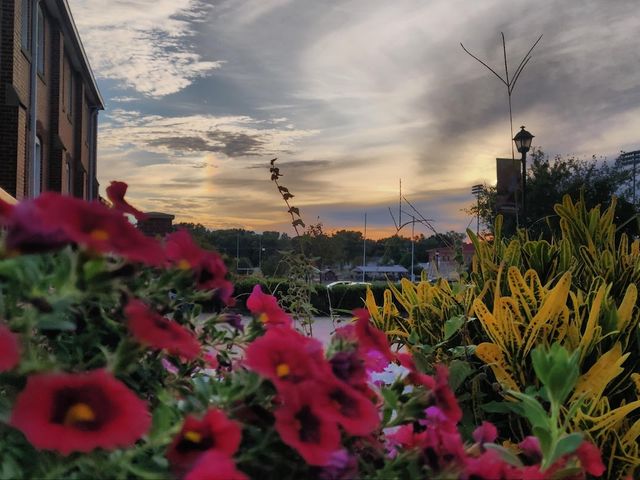 Photo of Campbellsville University