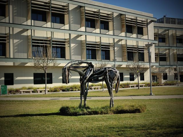 Photo of Canada College