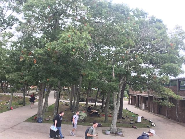 Photo of Cape Cod Community College