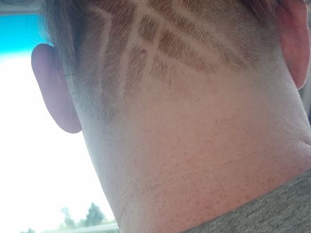 Photo of Capilo School of Hair Design