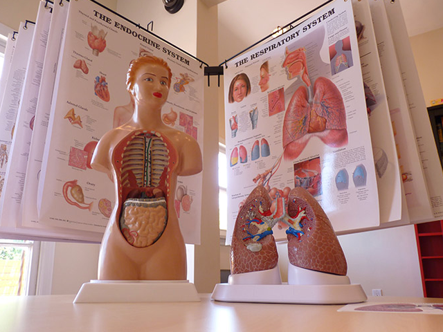 Photo of Career Development Institute Inc