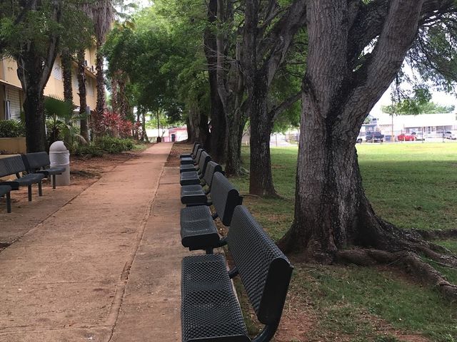 Photo of Caribbean University-Bayamon