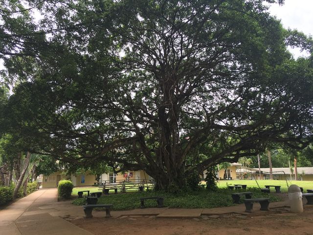 Photo of Caribbean University-Bayamon