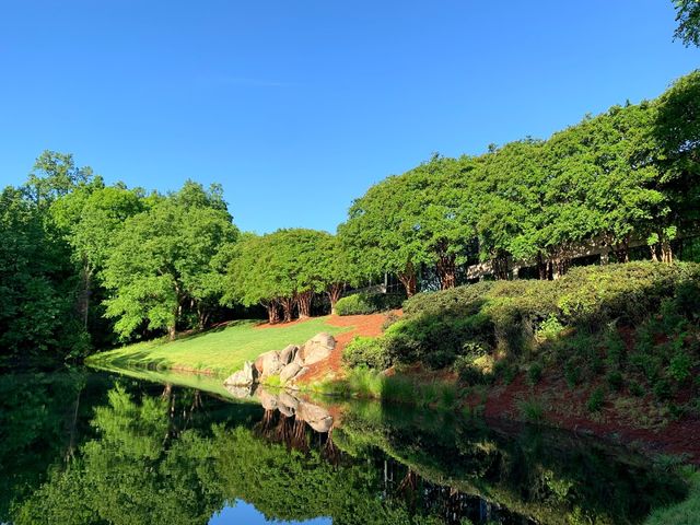 Photo of Carolinas College of Health Sciences