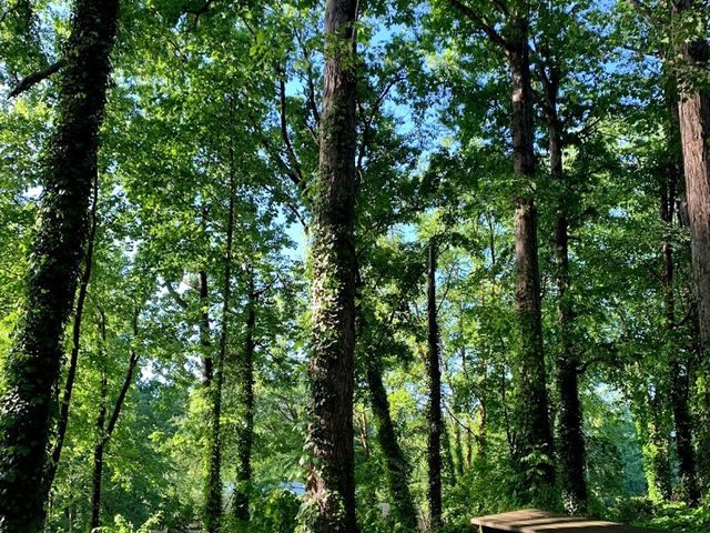 Photo of Carolinas College of Health Sciences