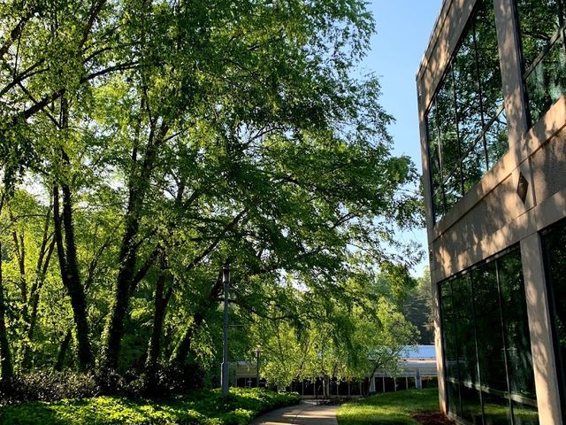 Photo of Carolinas College of Health Sciences