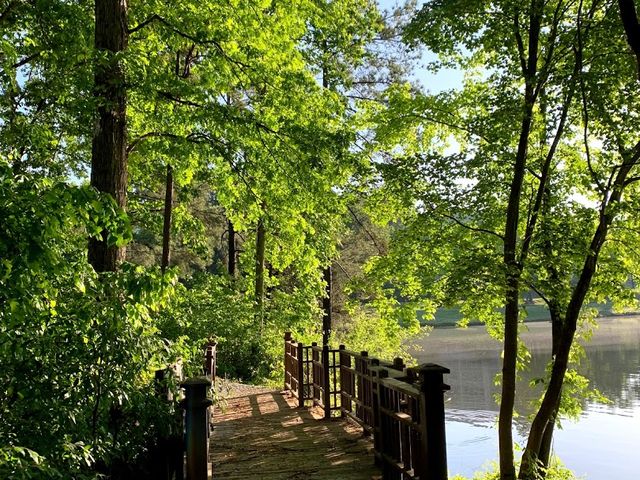 Photo of Carolinas College of Health Sciences