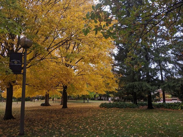 Photo of Carleton College