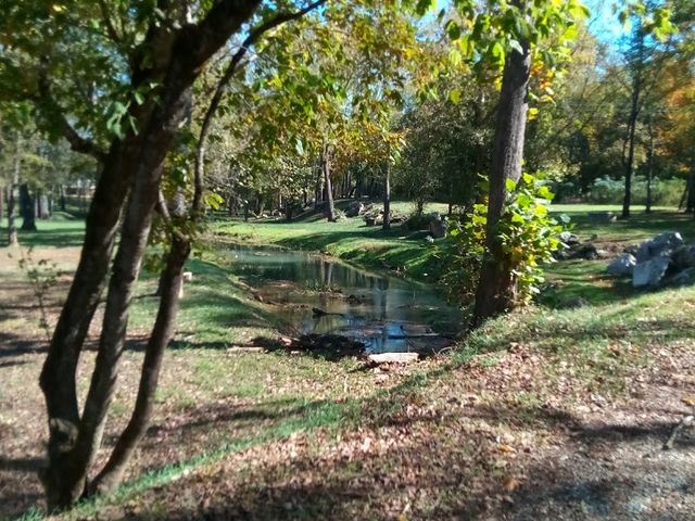 Photo of Carson-Newman University