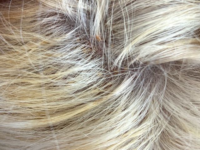 Photo of Carsten Institute of Cosmetology