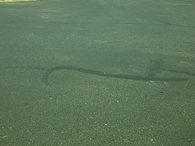 Photo of Carrington College-Phoenix North