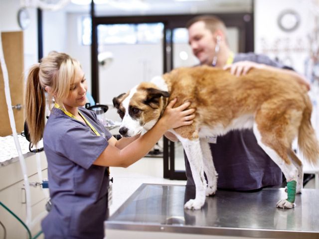 Photo of Carrington College-Pleasant Hill