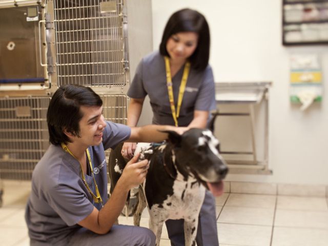 Photo of Carrington College-Tucson