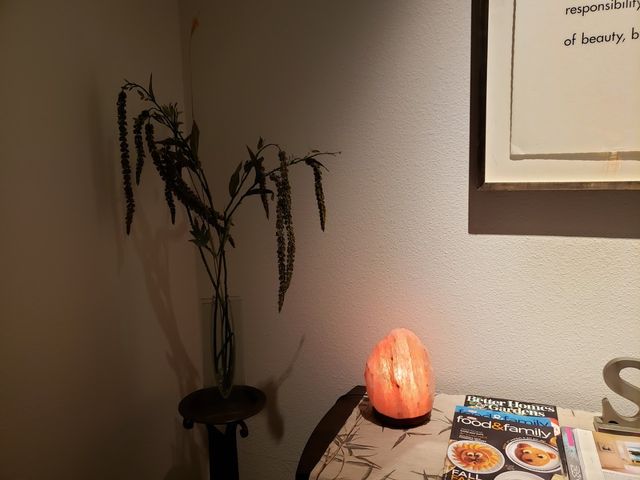 Photo of Casal Institute of Nevada