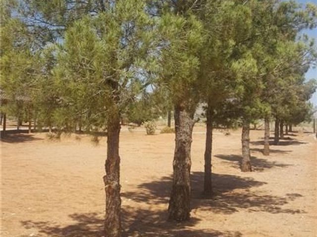 Photo of CET-El Paso