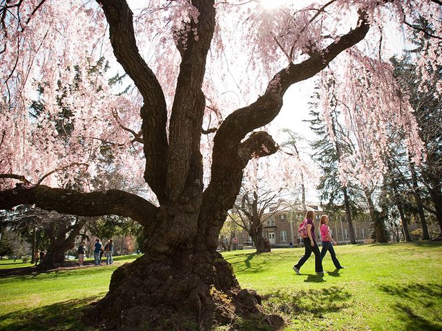 Photo of Cedar Crest College