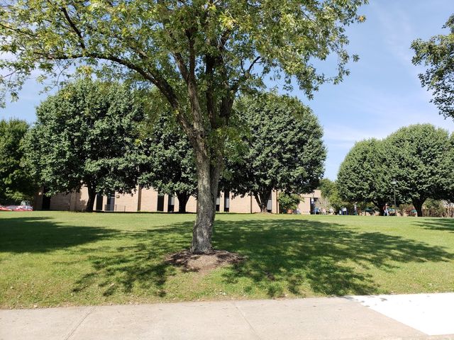 Photo of Central Virginia Community College