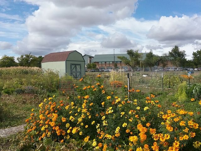 Photo of Central Wyoming College