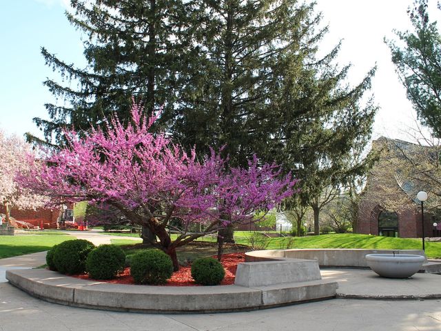 Photo of Central College