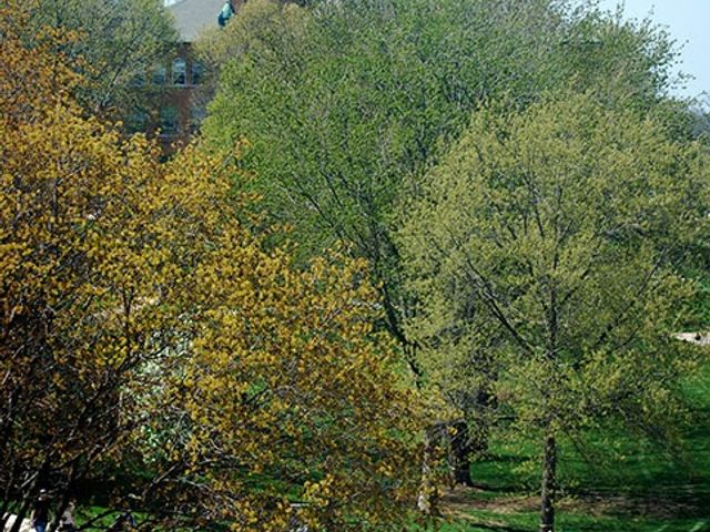 Photo of Central Methodist University-College of Liberal Arts and Sciences