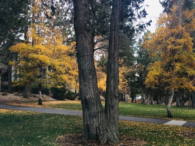 Photo of Central Oregon Community College
