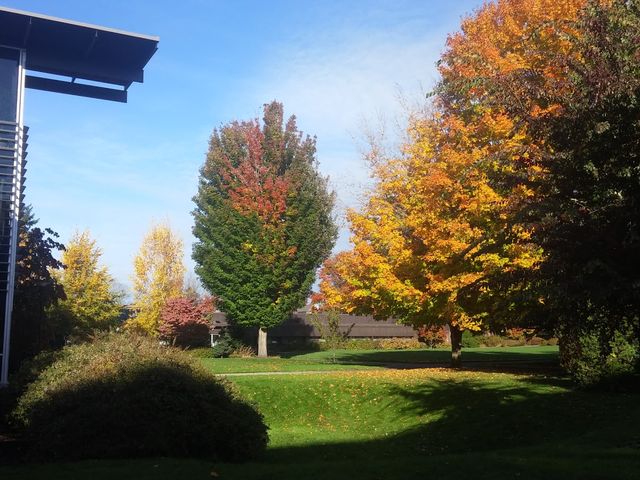 Photo of Centralia College