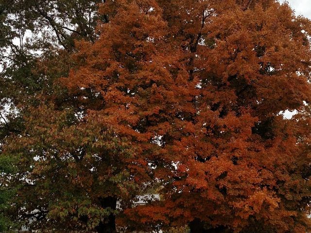 Photo of Centre College