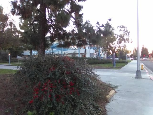 Photo of Cerritos College