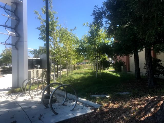 Photo of Chabot College