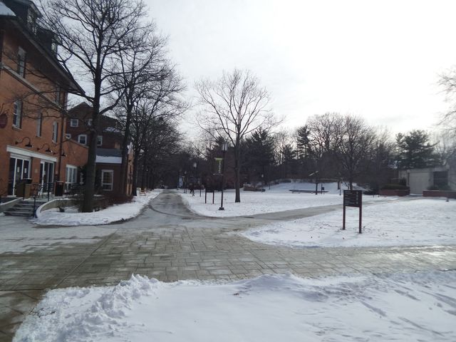 Photo of Chatham University
