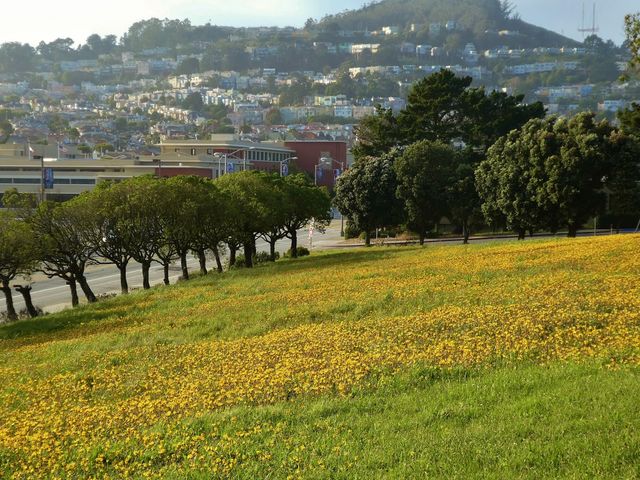 Photo of City College of San Francisco