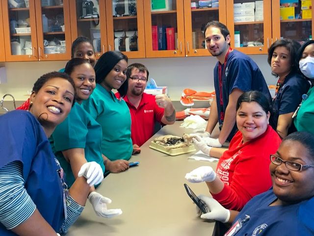 Photo of City College-Altamonte Springs